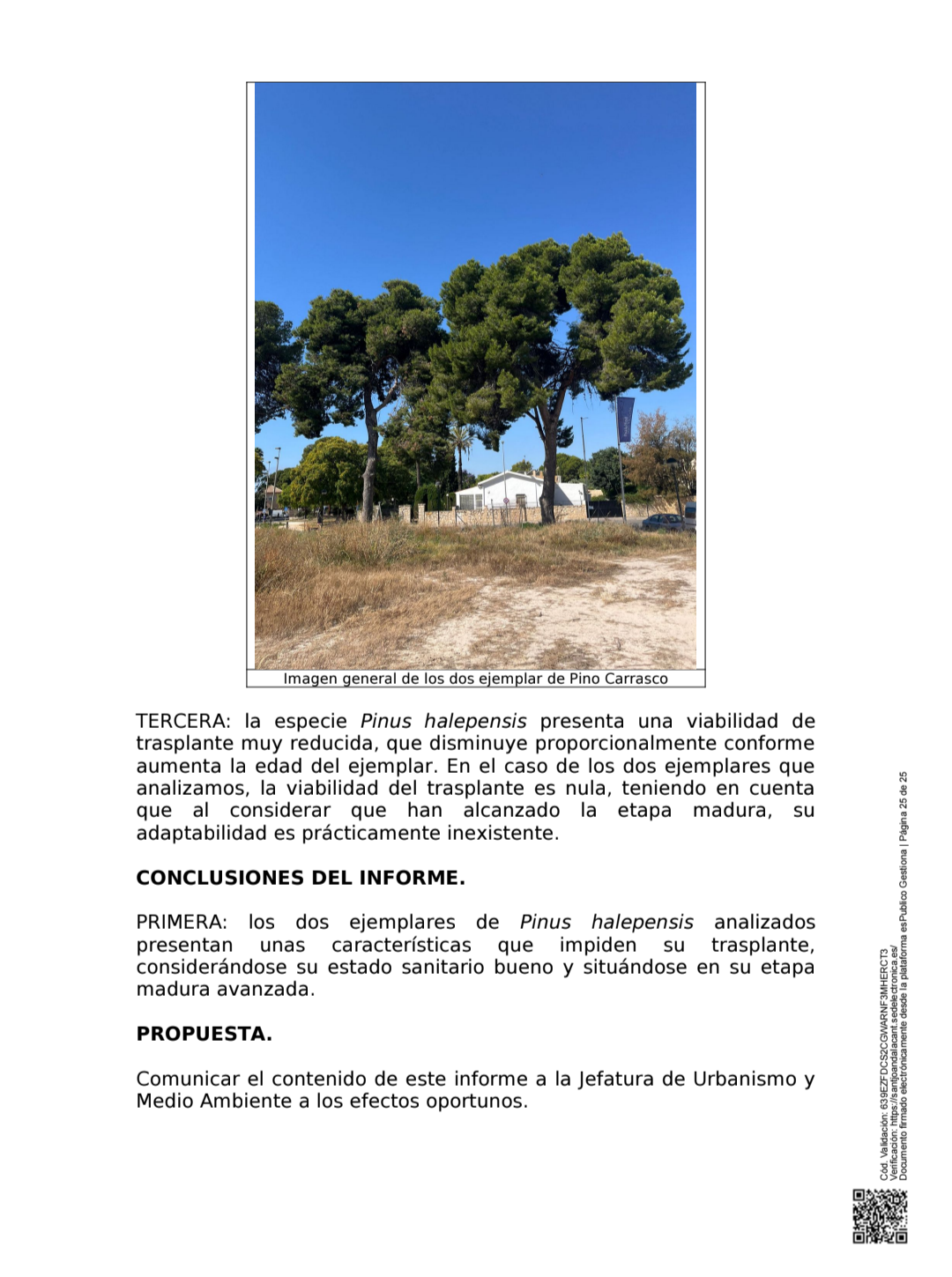 Segona pàgina de l’informe botànic municipal